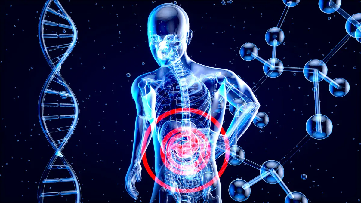 Magnesium in the Body