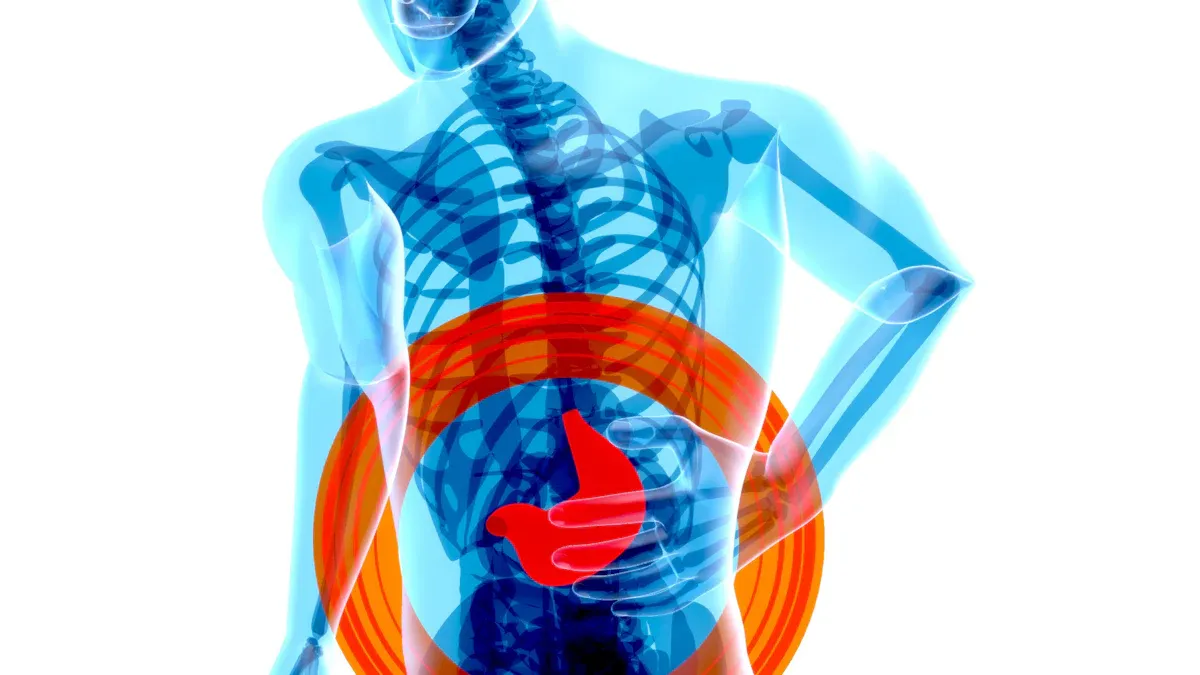 Digestive Timeline for Vitamins