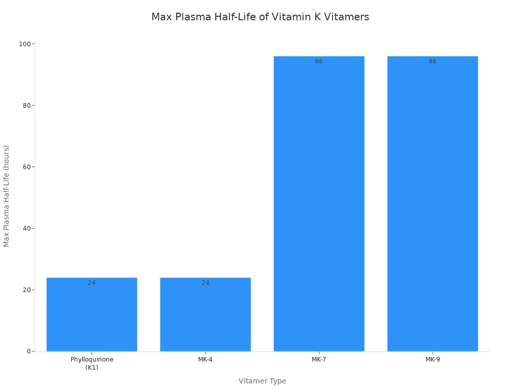 A bar chart comparing the maximum plasma half-life of different Vitamin K vitamers. Phylloquinone (K1)  and MK-4 both show a half-life of 24 hours. In contrast, the long-chain menaquinones, MK-7 and MK-9, have a significantly longer half-life of 96 hours.