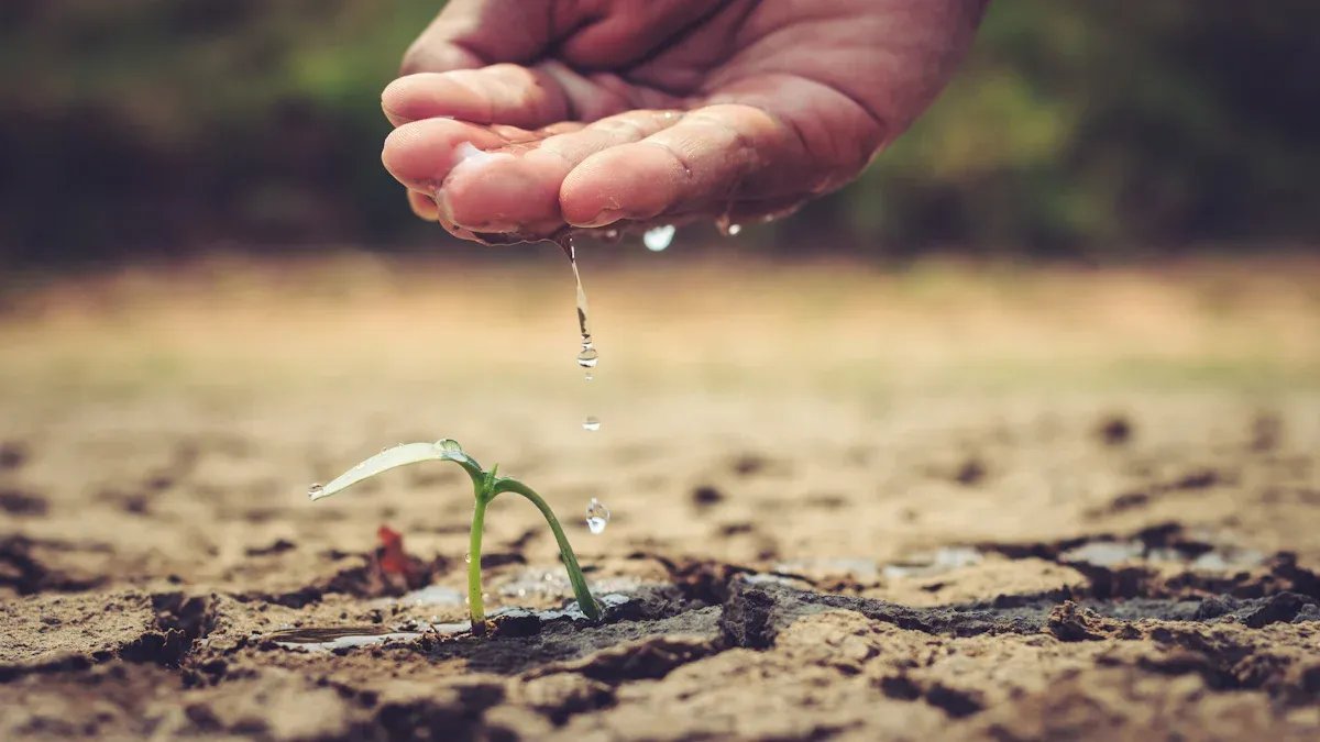 Embrace the Tiny Progress Mindset